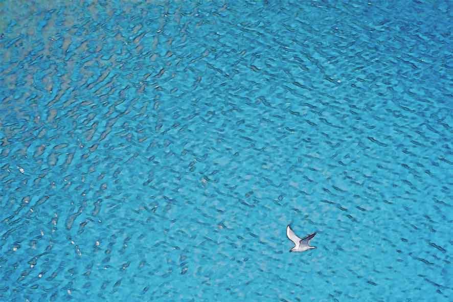 芦屋プラン株式会社 宇治市植物公園